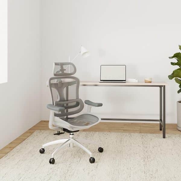 SIHOO Doro C300 Chaise de Bureau Ergonomique avec Accoudoirs Ultra Doux en 3D, Soutien Lombaire Dynamique pour Chaise Bureau à Domicile, Fauteuil de Bureau avec Dossier réglable(Grigio)