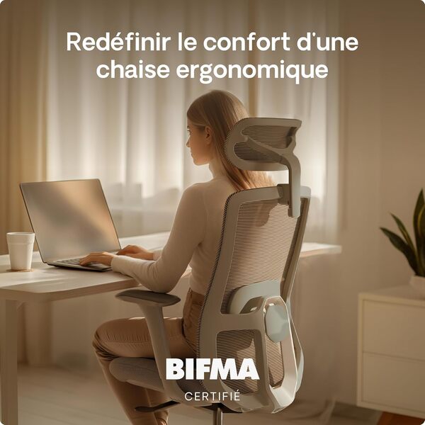 Desktronic Chaise de Bureau Ergonomique réglable Chaise de Bureau avec Appui-tête, accoudoirs, Support Lombaire, réglages de la Hauteur - Maille Respirante