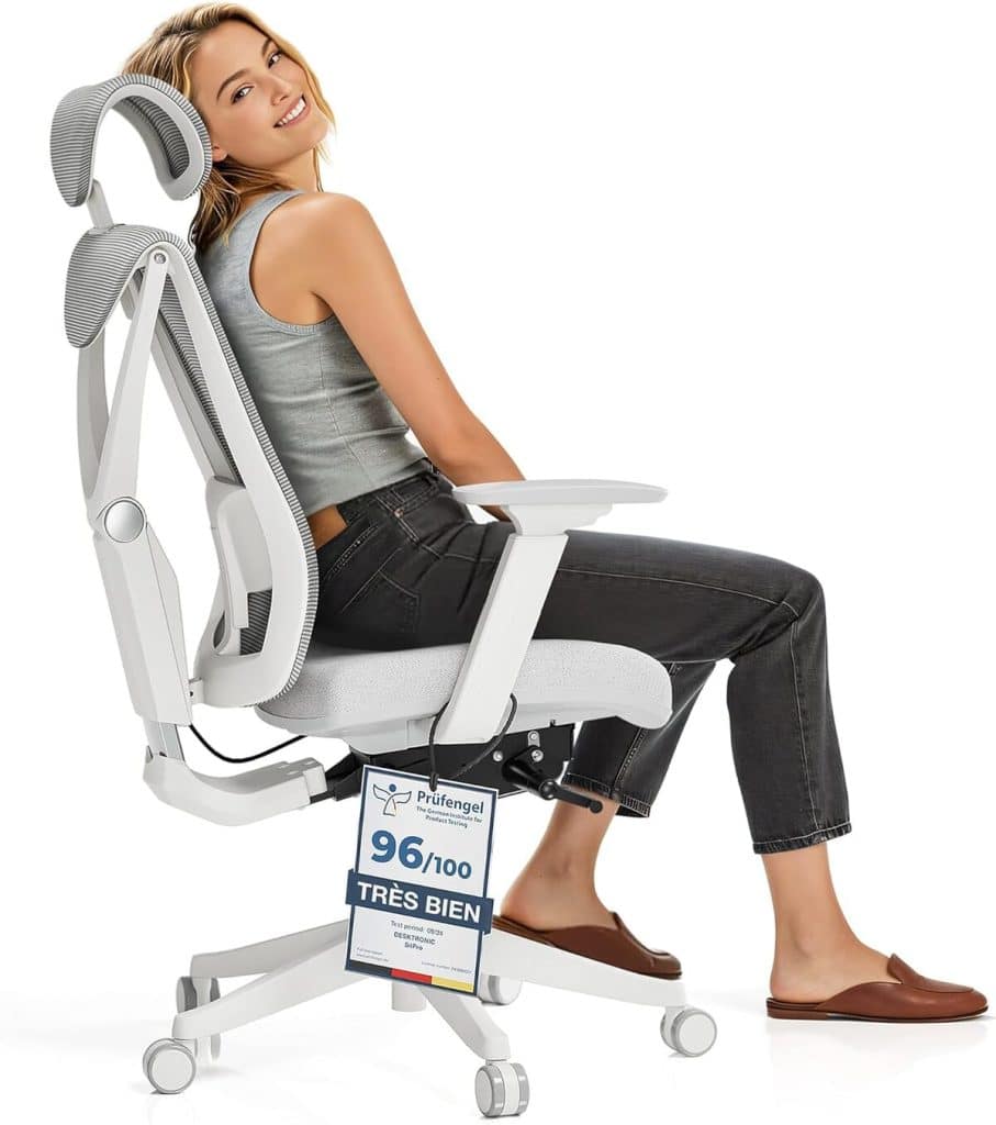 Test : chaise ergonomique Desktronic avec support lombaire